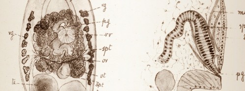 Third Ordinary Session of the Sixth Academic Year