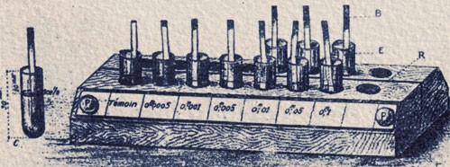 The Problem of Oligoelements in the Vegetal and Animal Life