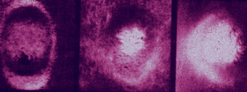 The Role of Non-Specific Immunity in the Prevention and Treatment of Cancer