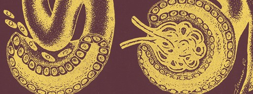 Modern Biological Experimentation