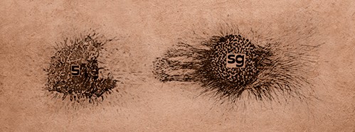 Developmental Neurobiology of Mammals