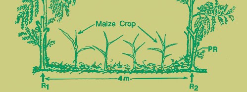 Agriculture and the Quality of Life. New Global Trends