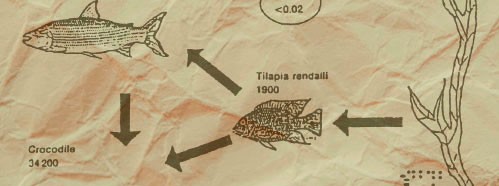 Chemical Hazard in Developing Countries