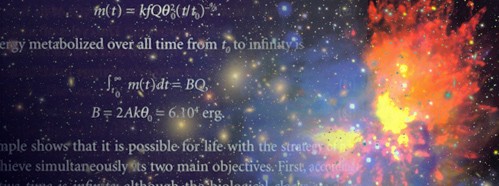 The Future Universe: From a Cosmic Perspective