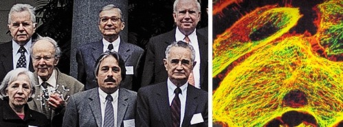 The Challenges of Sciences - A Tribute to Carlos Chagas' Memory