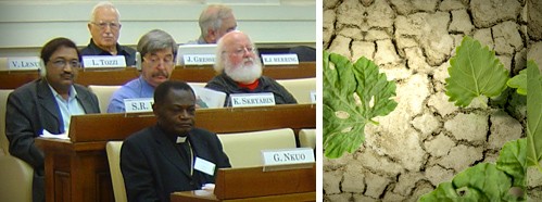 Transgenic Plants for Food Security in the Context of Development