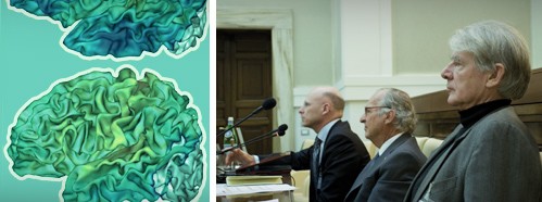 Human Neuroplasticity and Education