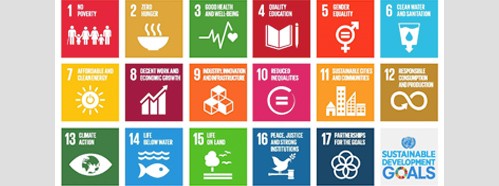 Youth and the Sustainable Development Goals: Challenges and Opportunities