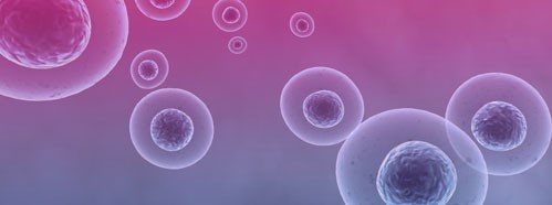 Cell Biology and Genetics