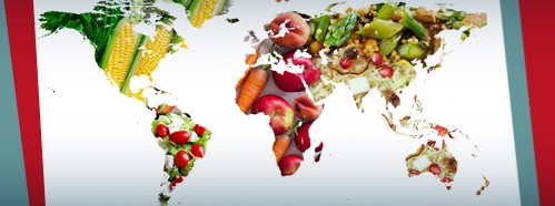 Food Safety and Healthy Diets