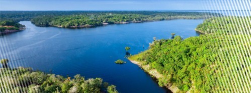 Paths and Commitments for Sustainable Development of the Amazon