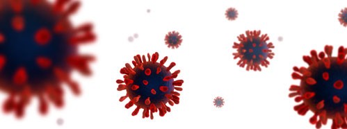 Responding to the Pandemic, Lessons for Future Actions and Changing Priorities