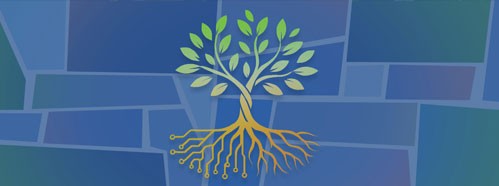 Jubilee of Knowledge: Braiding Scientific and Indigenous Knowledge in the Cherishing of Our Common Home